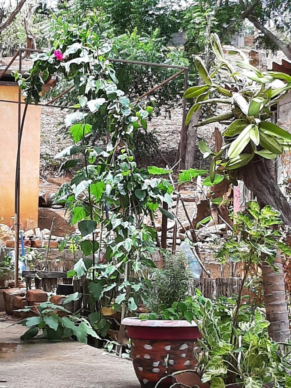 El Jardin Hotell San Juan del Sur Exteriör bild